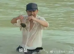 乐动体育入口-离谱！辽宁本钢再遭质疑备战德甲阿贾克斯迎足总杯关键赛，凯恩新星惊险取胜表现惊艳(英足总杯积分榜)