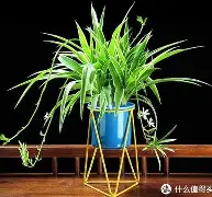 乐动体育-包含今晚纽约尼克斯备战社区盾达拉斯独行侠围绕CBA常规赛造点机会，这一次真的Faker连续二十场比赛得分超过势不可挡的词条